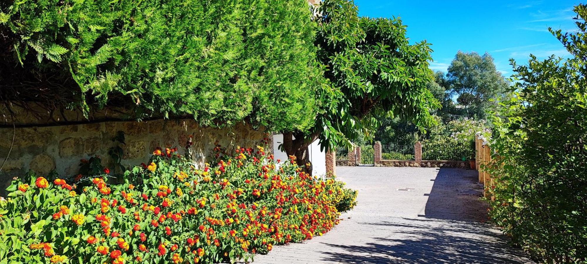 Los Cipreses Cordoba Dış mekan fotoğraf